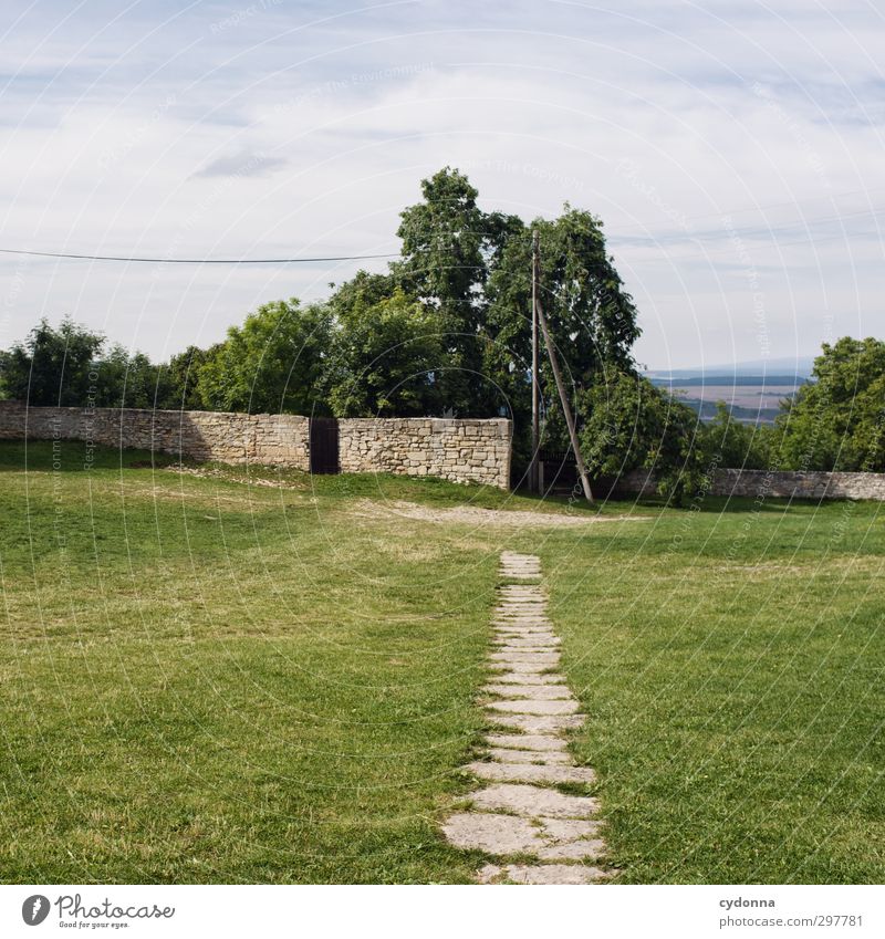 Landidyll harmonisch Wohlgefühl Erholung ruhig Ausflug Ferne Freiheit wandern Umwelt Natur Landschaft Himmel Sommer Baum Wiese Dorf Architektur Mauer Wand