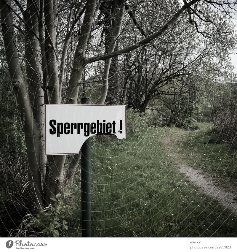 Früchte des Zorns Umwelt Natur Landschaft Pflanze Frühling Baum Gras Sträucher Ast Zweige u. Äste Wald Fußweg Sperrzone Verbotsschild Holz Metall Kunststoff