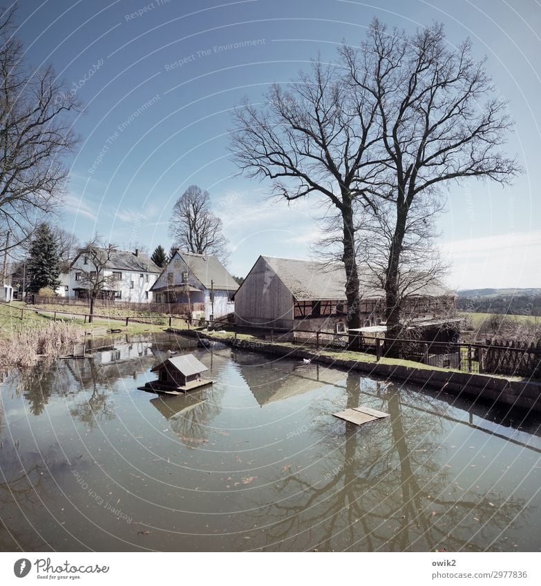 Kleine Kopie Himmel Wolken Horizont Schönes Wetter Baum Teich Dorfteich Thüringen Deutschland bevölkert Haus Einfamilienhaus Hütte Scheune Fachwerkhaus Dach