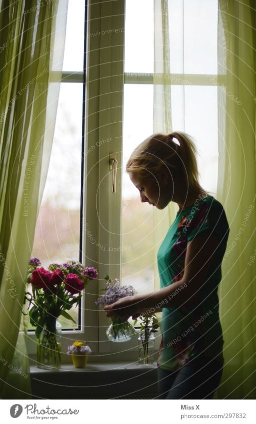 Zum Muttertag Dekoration & Verzierung Valentinstag Frau Erwachsene 1 Mensch 18-30 Jahre Jugendliche Frühling Blume Blüte Fenster blond Blühend Duft schön