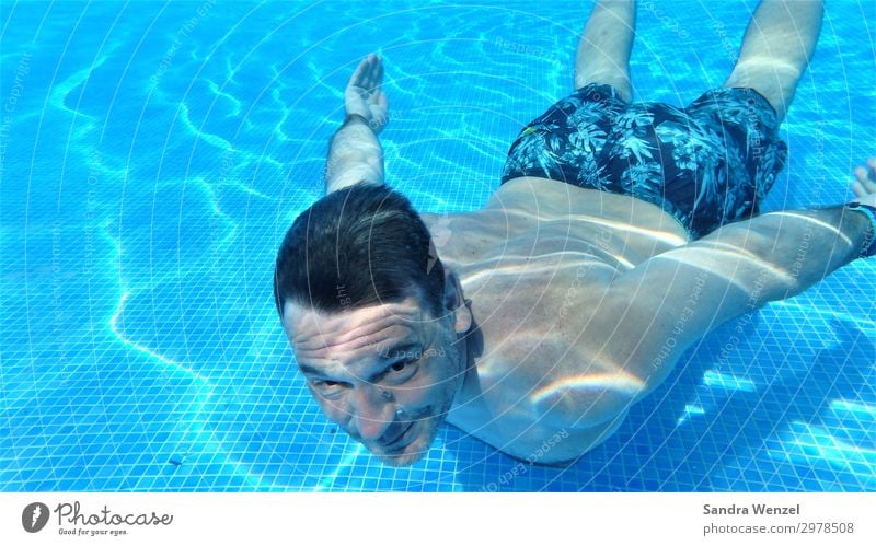 Tauchen im Pool Gesunde Ernährung sportlich Fitness Erholung Schwimmen & Baden Freizeit & Hobby Sommer Sommerurlaub Schwimmbad maskulin Mann Erwachsene Körper 1