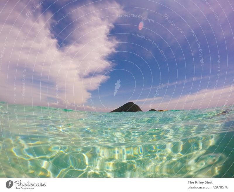 Ein Blick in die Nähe des Wasserrandes einer tropischen Insel schön Erholung Ferien & Urlaub & Reisen Abenteuer Sommer Strand Meer Wellen Natur Landschaft Sand