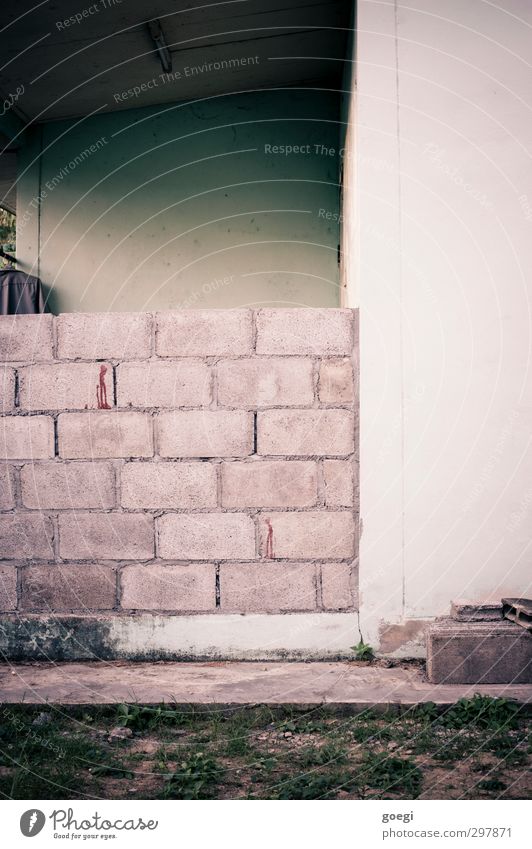 Pfusch Gras Haus Einfamilienhaus Mauer Wand Dach Arbeit & Erwerbstätigkeit bauen einfach Billig trist grau grün weiß Heimwerker Backstein Backsteinwand