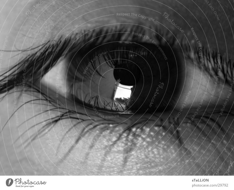 oeil Wimpern Frau Auge Schwarzweißfoto Blick Reflektion Tristess