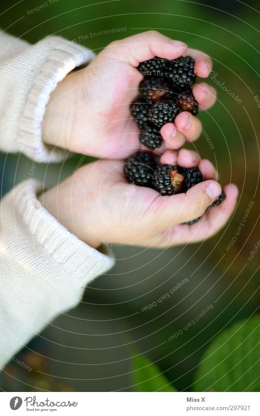 Handvoll Lebensmittel Frucht Ernährung Bioprodukte Vegetarische Ernährung Kind Kleinkind Kindheit Finger 1 Mensch 1-3 Jahre 3-8 Jahre frisch Gesundheit lecker