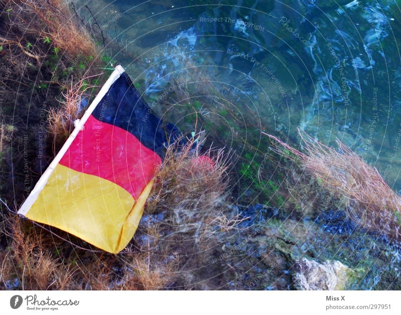 wir schwimmen Wasser Bach Fluss Schwimmen & Baden Stimmung Zukunftsangst Endzeitstimmung Kapitalwirtschaft Krise Misserfolg Politik & Staat Rettung