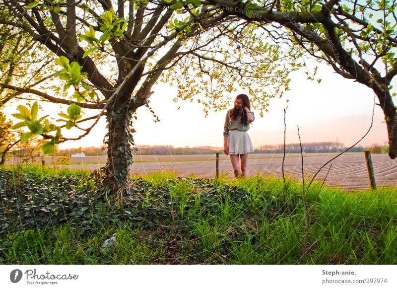 Mr. Sun, please don't go away feminin Junge Frau Jugendliche 1 Mensch 13-18 Jahre Kind Landschaft Frühling Schönes Wetter Baum Efeu Feld Rock langhaarig