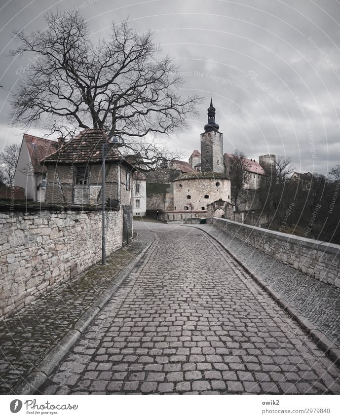 Querfurt Sachsen-Anhalt Deutschland Kleinstadt Stadtzentrum Altstadt bevölkert Haus Burg oder Schloss Mauer Wand Fassade Straße historisch Kopfsteinpflaster