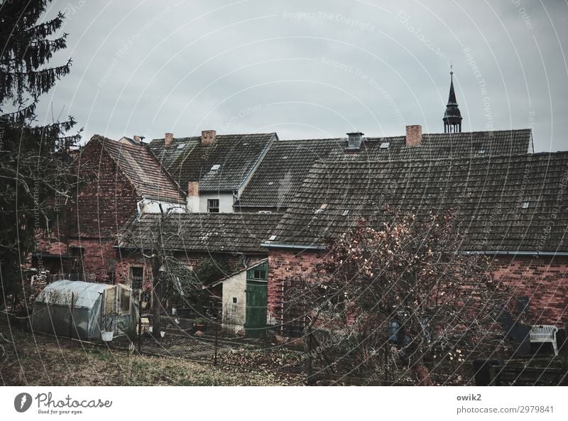 Schweinitz Deutschland Sachsen-Anhalt Dorf bevölkert Haus Kirche Mauer Wand Fassade Garten Fenster Dach dunkel einfach trist stagnierend Verfall Vergangenheit