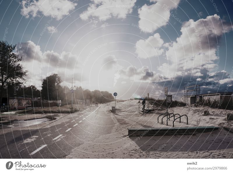 Küstenstreifen Umwelt Natur Himmel Wolken Schönes Wetter Baum Sträucher Strand Ostsee Straße leuchten hell Horizont Idylle Ferne Sand Fahrradständer