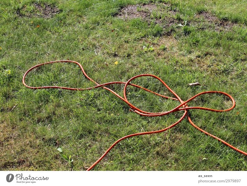 Mal wieder gießen Garten Umwelt Natur Pflanze Urelemente Erde Sommer Klima Klimawandel Wetter Schönes Wetter Wärme Dürre Gras Rasen Gartenschlauch liegen