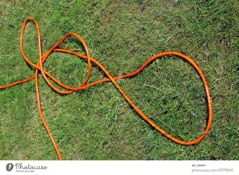 Gartenschlauch II Umwelt Natur Pflanze Erde Wasser Sommer Gras Rasen Park Wiese Knoten liegen authentisch frech grün orange Frühlingsgefühle Tatkraft Farbe