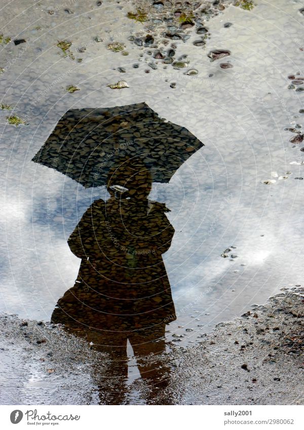 Mit Schirm (Charme und Melone...) Mensch feminin 1 dreckig kalt nass Regenschirm Pfütze Asphalt Stein Schlamm Reflexion & Spiegelung Farbfoto Gedeckte Farben