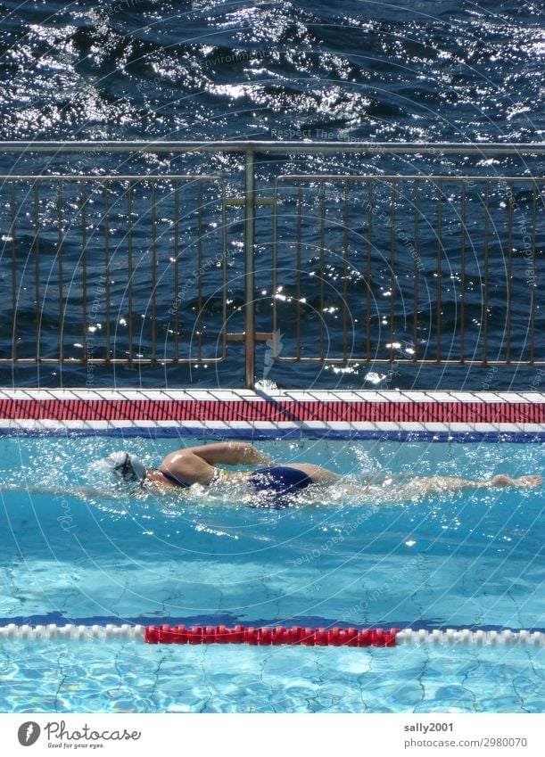 Abkühlung... sportlich Schwimmbad Schwimmen & Baden Sommerurlaub Sonne Sport Fitness Sport-Training Wassersport feminin Junge Frau Jugendliche Körper 1 Mensch