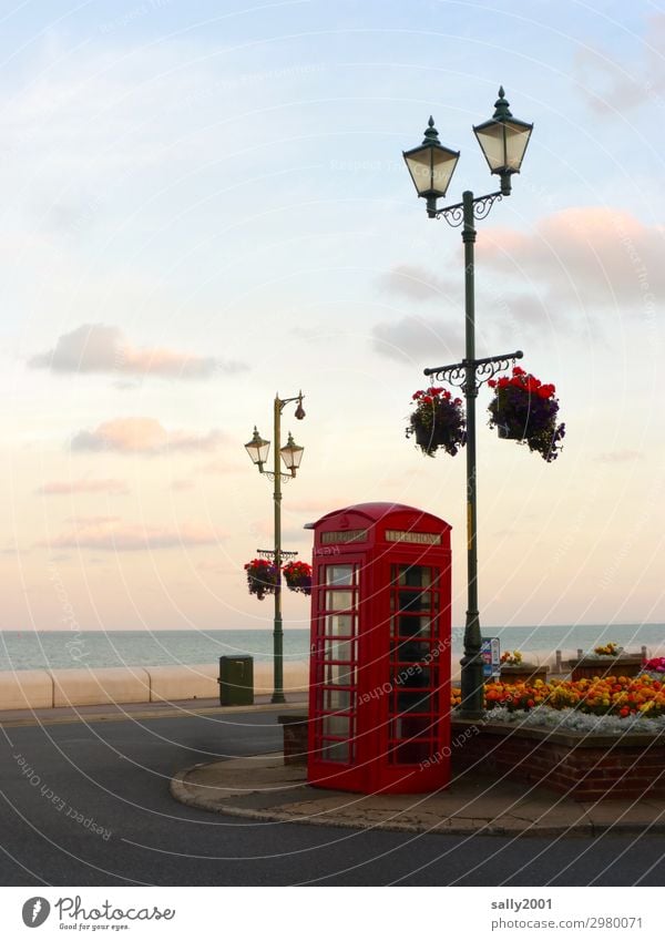 Brexit is done... England Telefonzelle rot britisch englisch Tradition Telekommunikation Großbritannien Kommunizieren retro Meer Küste Blumen Blumenschmuck