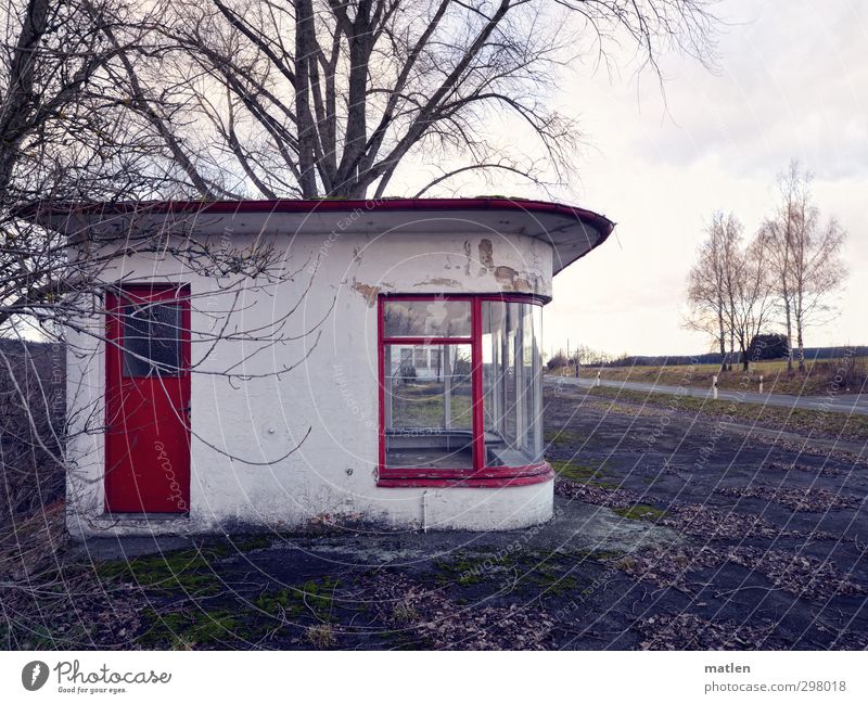 Häusel Landschaft Himmel Wolken Winter Schönes Wetter Baum Gras Moos Feld Hügel Stadtrand Haus Platz Mauer Wand Terrasse Fenster Tür Straße grün rot weiß warten