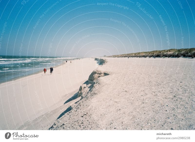 Spaziergang am Strand Körperpflege Gesundheit Wellness Leben Wohlgefühl Erholung ruhig Kur Sommerurlaub Meer Insel Sand Schönes Wetter Wellen Nordsee Langeoog