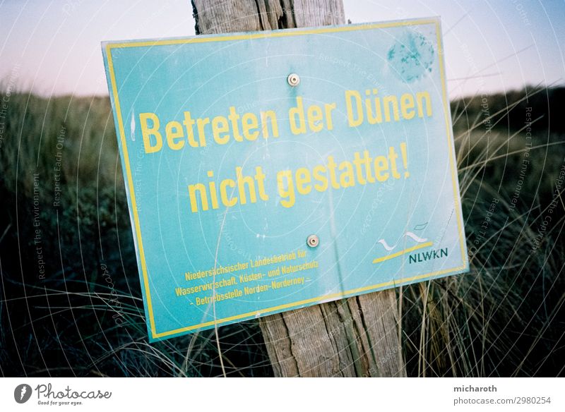 Betreten der Düne nicht gestattet! Gesundheit Gesundheitswesen Fitness Ferien & Urlaub & Reisen Tourismus Freiheit Sommerurlaub Umwelt Natur Landschaft Pflanze