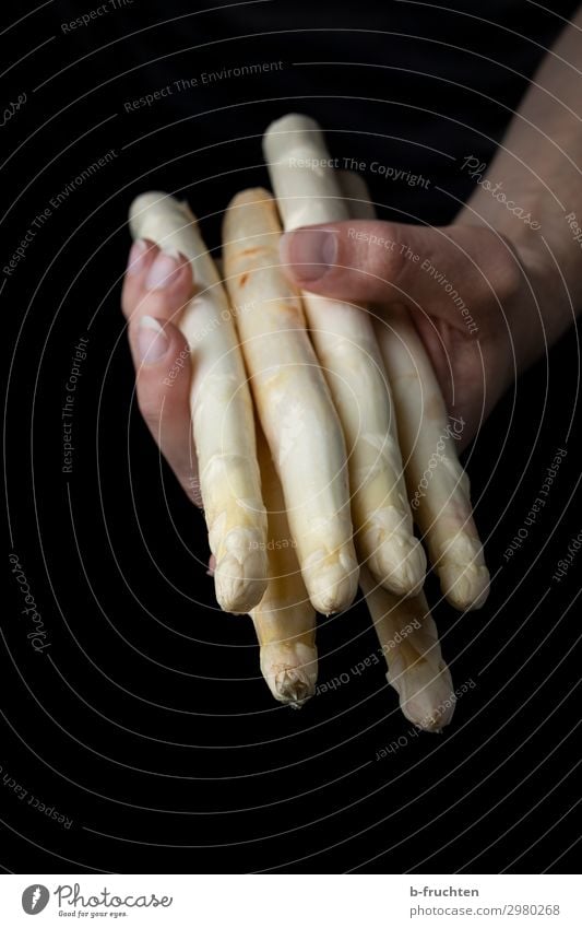 Weißer Spargel Lebensmittel Gemüse Ernährung Bioprodukte Vegetarische Ernährung Gesundheit Gesunde Ernährung Küche Mann Erwachsene Hand Finger