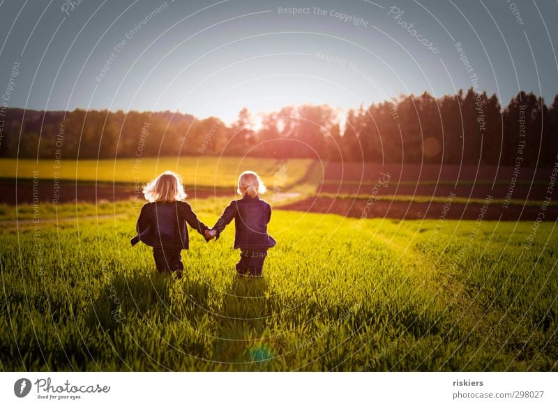 kleine seelenverwandte Mensch feminin Kind Mädchen Geschwister Schwester Kindheit Leben 2 3-8 Jahre Natur Frühling Sommer Schönes Wetter Wiese Feld gehen frei