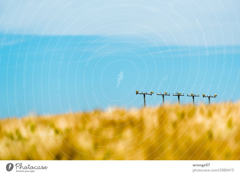 Lichter am Boden Flugplatz Landebahn Stadt blau braun mehrfarbig gelb Lampe technisch Feld Getreidefeld Himmel Blauer Himmel Wolkenband Wolkenschleier