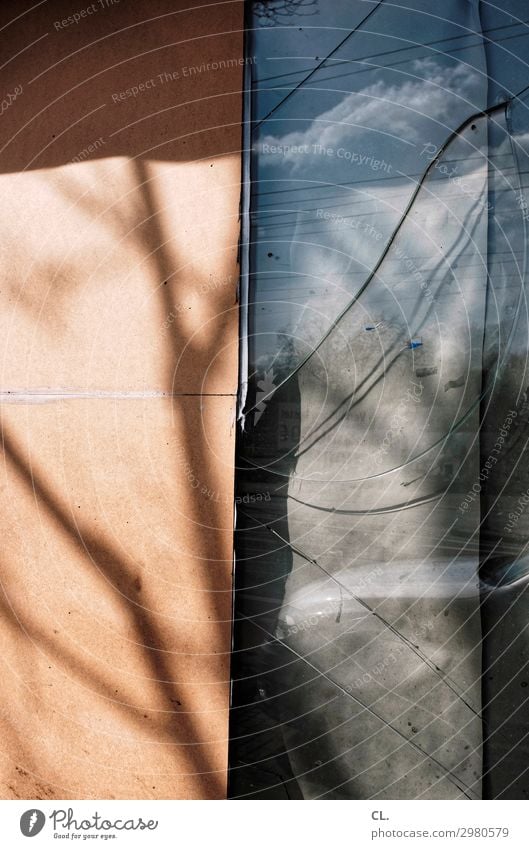 sprunghaft Ast Menschenleer Ruine Mauer Wand Fenster Fensterscheibe Glas alt kaputt Verfall Zeit Zerstörung Farbfoto Außenaufnahme abstrakt Tag Licht Schatten