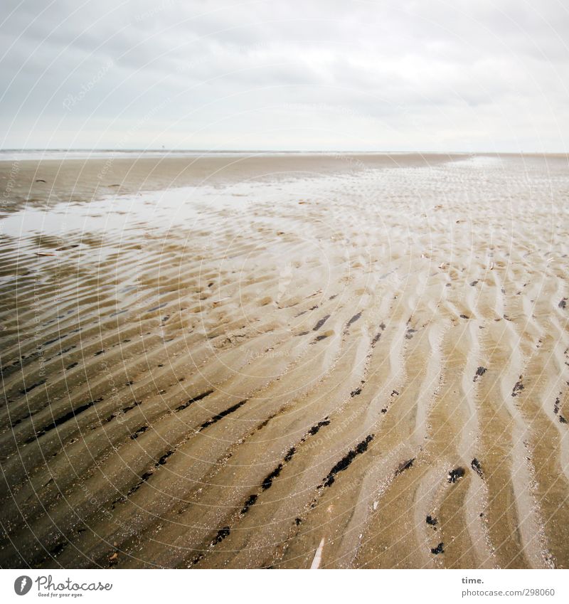 Rømø | feuchtfröhlich Umwelt Natur Sand Wasser Himmel Wolken Frühling Wellen Küste Strand Nordsee Dänemark einfach Flüssigkeit Unendlichkeit hell trist