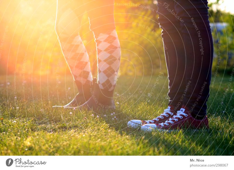 trendsetter Lifestyle Sommer Garten feminin Jugendliche Beine 2 Mensch 13-18 Jahre Kind Umwelt Natur Frühling Schönes Wetter Gras Wiese Jeanshose Strümpfe