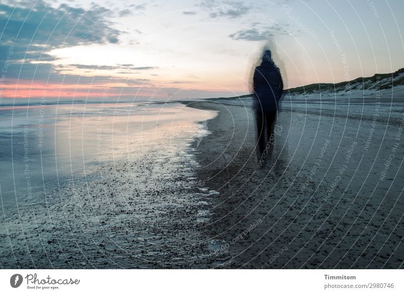 Nachtwanderung Ferien & Urlaub & Reisen Mensch Frau Erwachsene 1 Umwelt Natur Urelemente Sand Wasser Himmel Nachthimmel Strand Nordsee Dänemark gehen dunkel