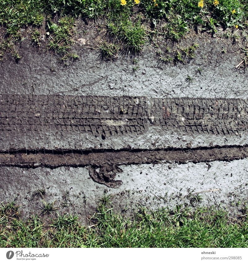 Sherlock Erde Wiese Wege & Pfade Reifenspuren Reifenprofil Autoreifen Fahrradreifen Schlamm schlammig braun spurenlesen Farbfoto Gedeckte Farben Außenaufnahme