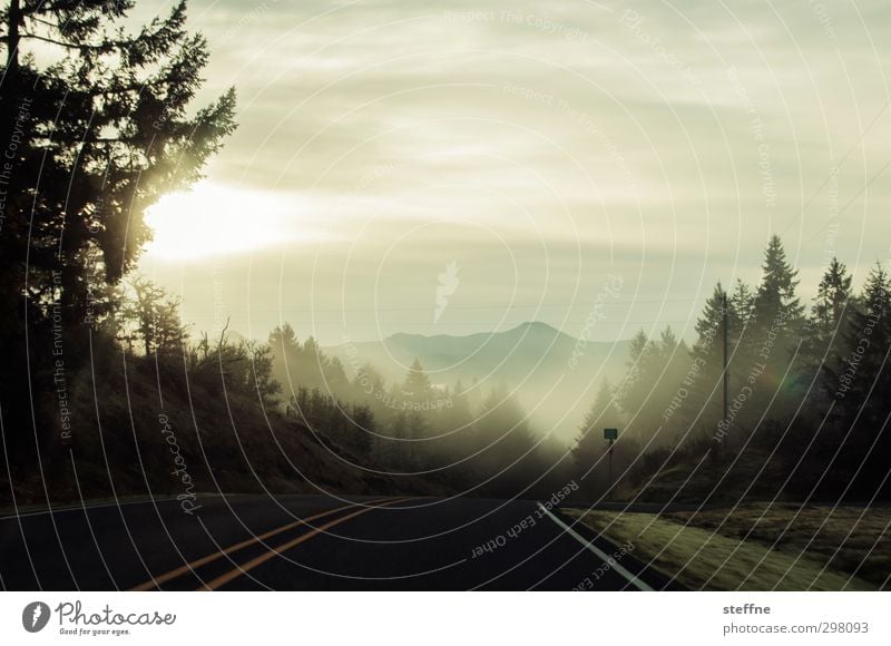 Mist Umwelt Natur Landschaft Wolken Nebel Baum Wald Berge u. Gebirge Straße Erwartung ruhig Farbfoto