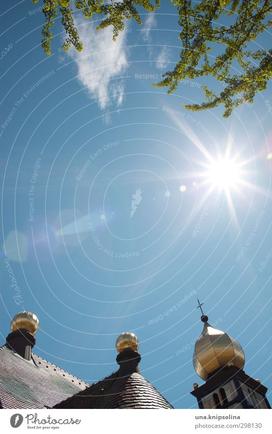 heilige dreikugeligkeit Himmel Baum Dorf Kirche Turm Bauwerk Architektur glänzend außergewöhnlich rund gold Design Glaube Religion & Glaube Idylle einzigartig