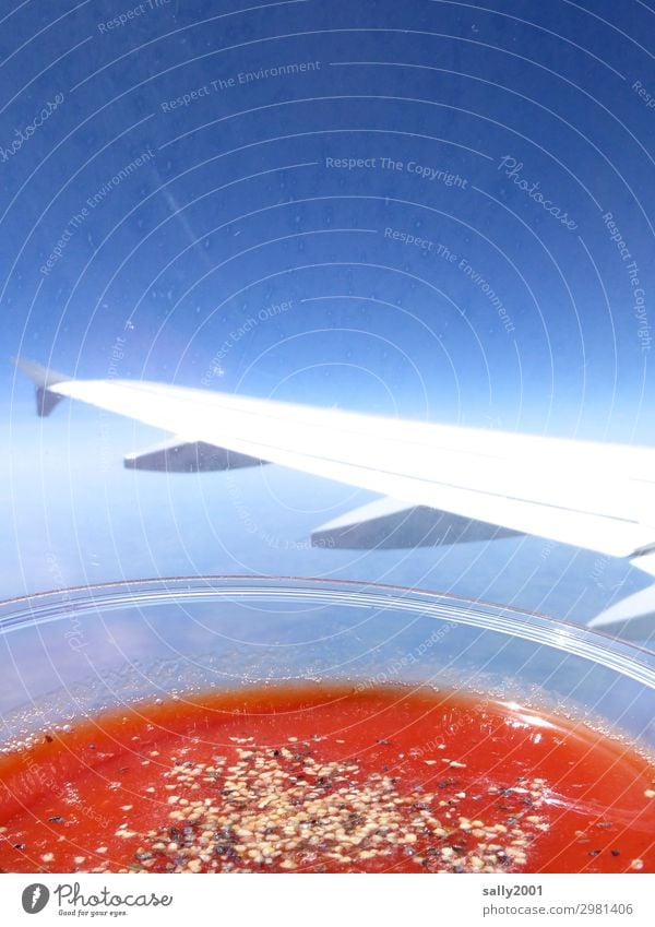 Tomatensaft bitte... Getränk Saft Wolkenloser Himmel Luftverkehr Flugzeug Passagierflugzeug im Flugzeug Flugzeugausblick Tragfläche fliegen trinken Gesundheit