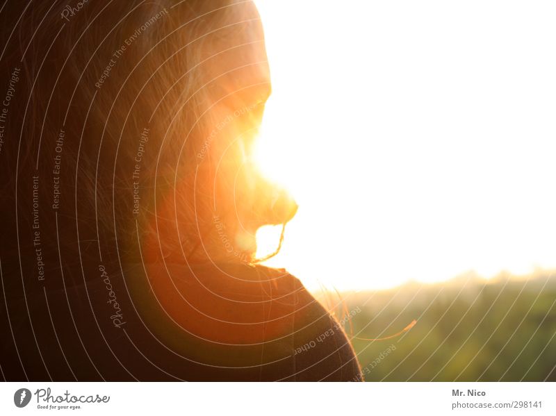 geblendet feminin Frau Erwachsene Haare & Frisuren Gesicht 1 Mensch 30-45 Jahre Sonne Schönes Wetter Wärme beobachten Schulter blenden Frühlingsgefühle gold