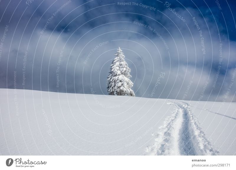 Schneeweg Ferien & Urlaub & Reisen Tourismus Ausflug Freiheit Winter Winterurlaub Berge u. Gebirge wandern Wintersport Natur Landschaft Himmel Wolken Wetter Eis