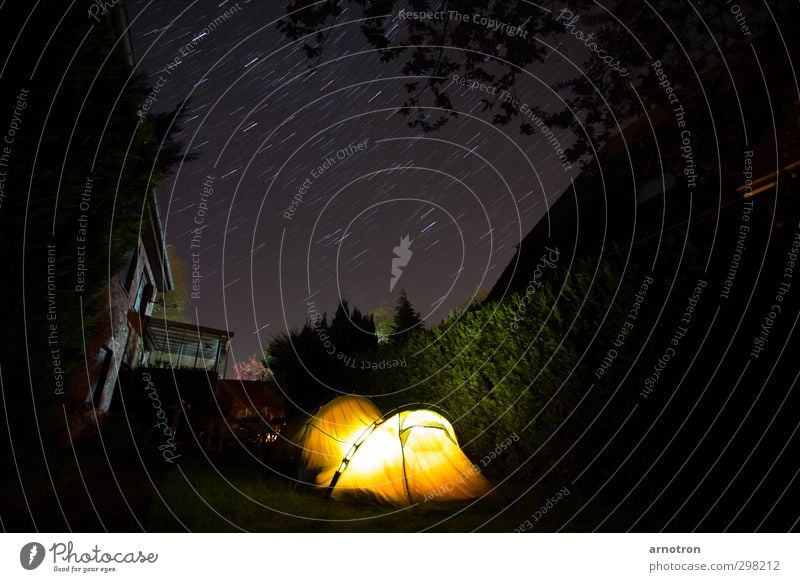 Hier unten leuchten wir... ruhig Ferien & Urlaub & Reisen Tourismus Freiheit Camping Garten Himmel Wolkenloser Himmel Nachthimmel Stern Sträucher Winsen/Luhe