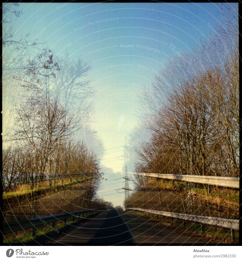 Doppelbelichtung - eine Straße mit Bäumen die zur Bücke führt Umwelt Natur Landschaft Pflanze Luft Wolkenloser Himmel Herbst Schönes Wetter Baum Wald Hügel Dorf