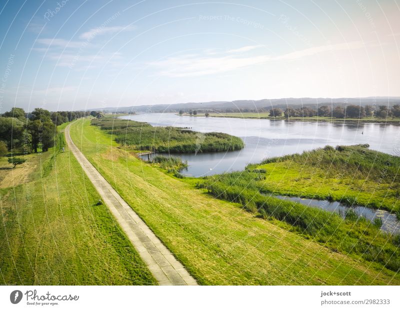 Ausblick auf den Fluss (Oder) Landschaft Wolken Sommer Schönes Wetter Wiese Damm Wege & Pfade authentisch Ferne Horizont Idylle Natur Flussufer Kulturlandschaft