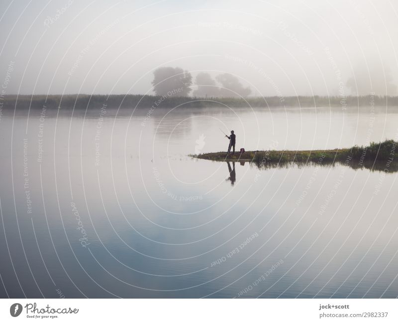 Guter Morgen an der Oder Angeln Landschaft Himmel Sommer Nebel Flussufer Brandenburg Gelassenheit Erholung Idylle Inspiration Grenzgebiet malerisch schemenhaft