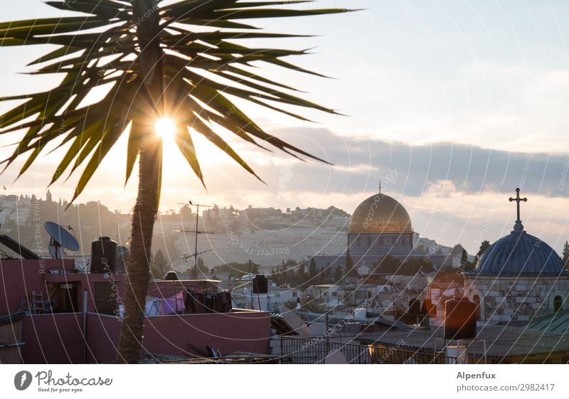 Guten Morgen Jerusalem Palästina Stadtzentrum Altstadt Kirche Sehenswürdigkeit Wahrzeichen Denkmal Felsendom Tempelberg Glück Lebensfreude Abenteuer Beginn