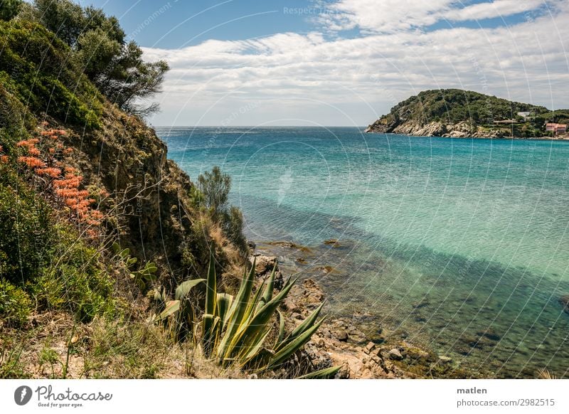 Costa brava Natur Landschaft Pflanze Luft Wasser Himmel Wolken Horizont Frühling Schönes Wetter Blume Gras Sträucher Kaktus Blatt Felsen Berge u. Gebirge Küste