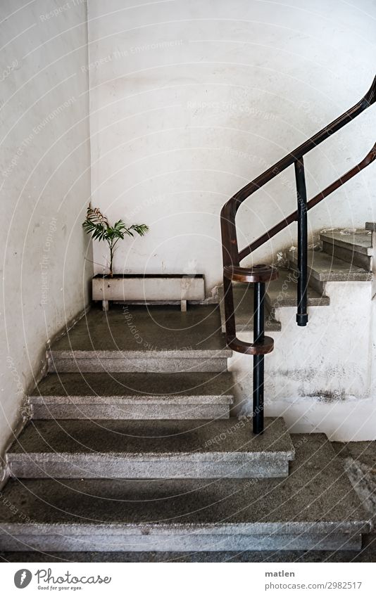 Die traurigste Palme der Welt Menschenleer Industrieanlage Fabrik Architektur Mauer Wand Treppe dunkel trist blau grün weiß Treppenhaus Blumenkasten Traurigkeit