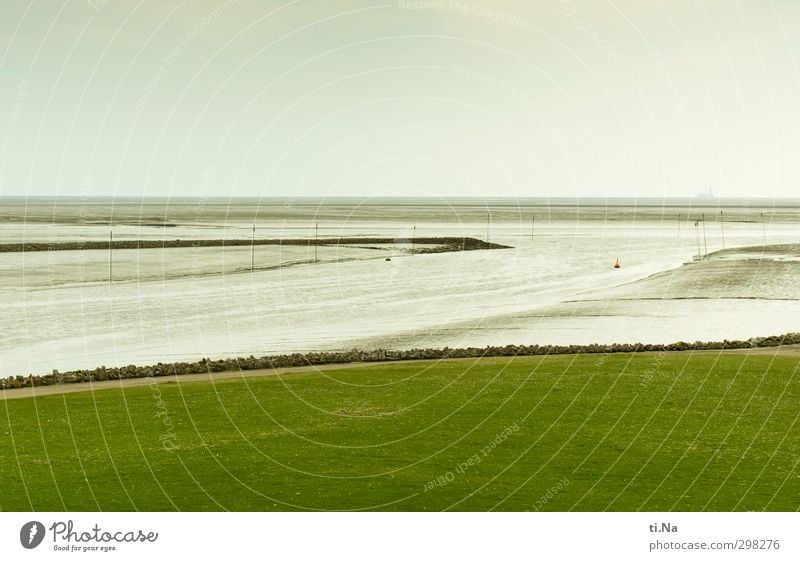 Gezeiten Luft Wasser Frühling Schönes Wetter Gras Küste Nordsee Dithmarschen Hafen Deich grau grün Erholung Horizont Tourismus Priel Boje Farbfoto Außenaufnahme