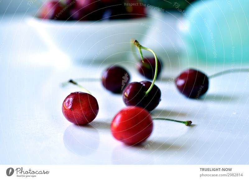 Kirschen auf weissem Tisch Lebensmittel Frucht Ernährung Bioprodukte Vegetarische Ernährung Sommer genießen frisch Gesundheit lecker natürlich saftig süß rot