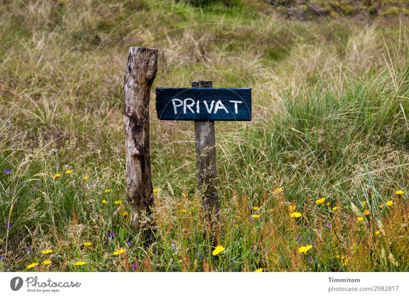 PRIVAT (QF) Ferien & Urlaub & Reisen Umwelt Natur Pflanze Blume Gras Wiese Dänemark Wege & Pfade Pfosten Holz Schilder & Markierungen Hinweisschild Warnschild