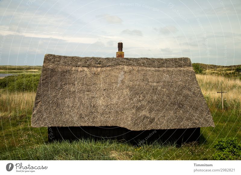 Häuschen im Grünen Ferien & Urlaub & Reisen Häusliches Leben Haus Umwelt Natur Landschaft Pflanze Himmel Wolken Gras Sträucher Wiese Fjord Dänemark Ferienhaus