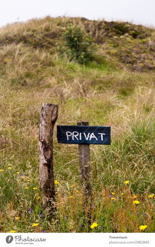 PRIVAT (HF) Ferien & Urlaub & Reisen Umwelt Natur Pflanze Blume Wiese Hügel Düne Dänemark Wege & Pfade Pfosten Holz Schilder & Markierungen Hinweisschild