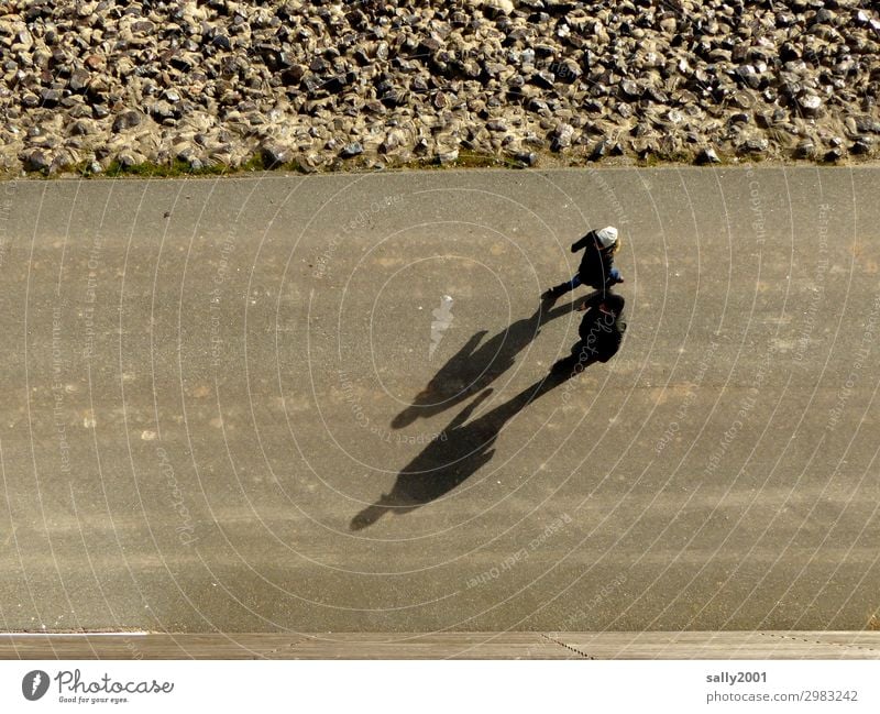 Spaziergang mit Schatten... von oben Schattenwurf Erwachsene Fußgänger Vogelperspektive spazierengehen gemeinsam Asphalt Gehweg Winter Wege & Pfade wandern