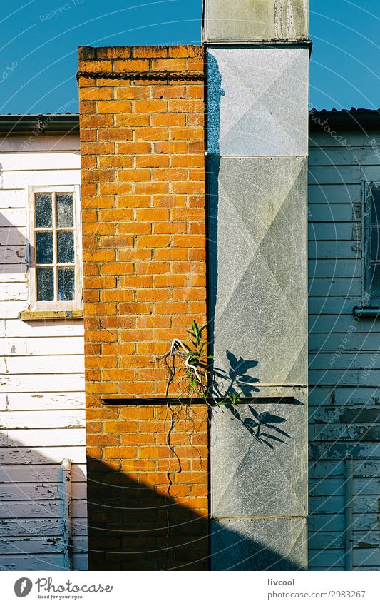 Fassade mit Schatten II, yungaburra - australien Lifestyle Haus Pflanze Blume Dorf Kleinstadt Platz Gebäude Architektur Mauer Wand Fenster Straße alt