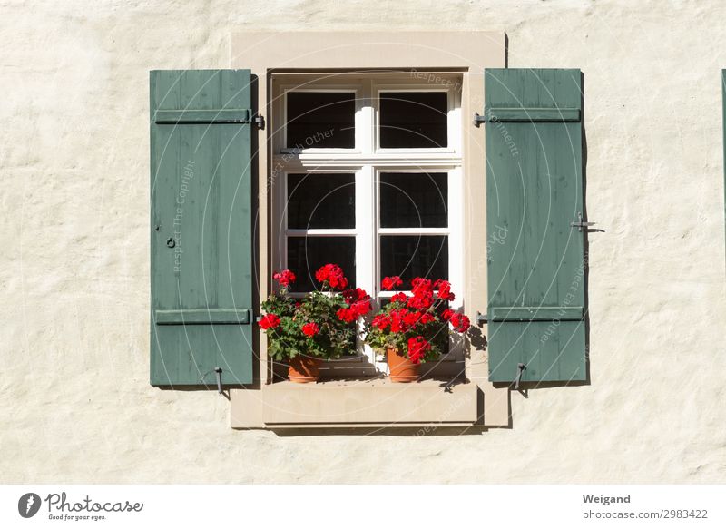 Fenster Haus Traumhaus Duft genießen Gesellschaft (Soziologie) Gesundheit Willkommen Pelargonie Fensterladen Lebensfreude Landleben Farbfoto Außenaufnahme